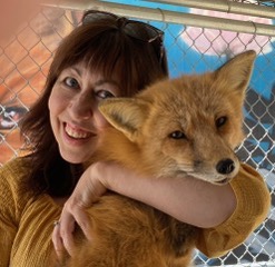Innovations Academy Nature Studies’ teacher Mary Zanotelli poses with her arm around a very fluffy red fox.