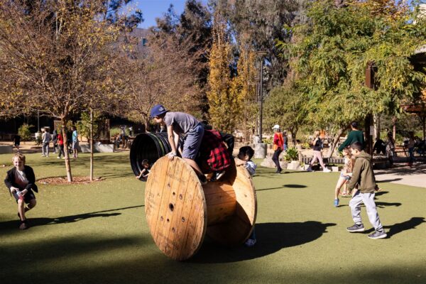 Innovations Academy (IA) students run around in the school’s “backyard”, a tree-filled and grass-lined outdoors with a big wooden spool in the foreground with a student balancing on it.